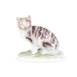 A very rare English porcelain model of a cat, circa 1758-62