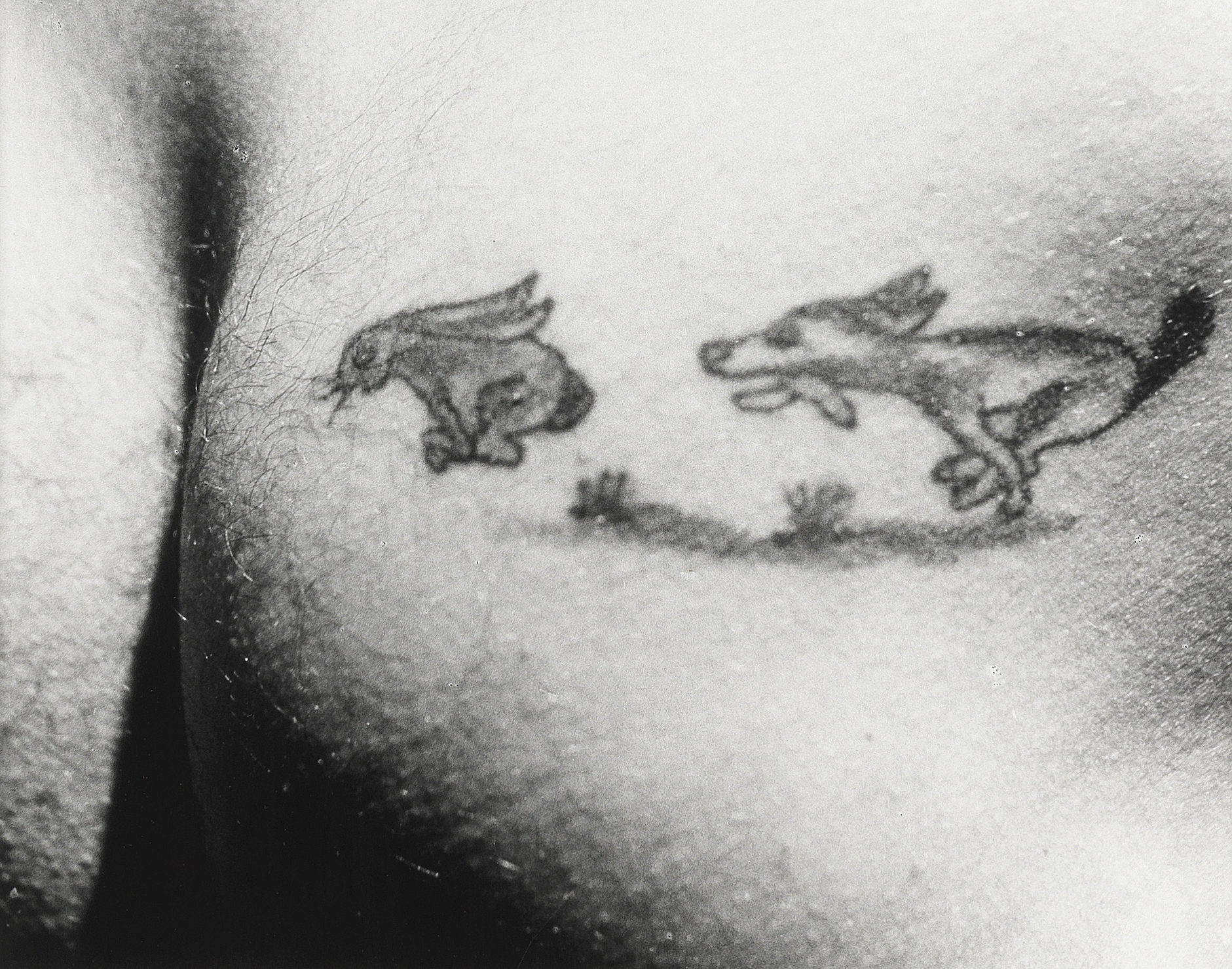 Lou Stoumen (American, 1917-1991) Dog chasing rabbit into hole: Tattoo Aboard US Mission bay, Sou...