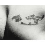 Lou Stoumen (American, 1917-1991) Dog chasing rabbit into hole: Tattoo Aboard US Mission bay, Sou...