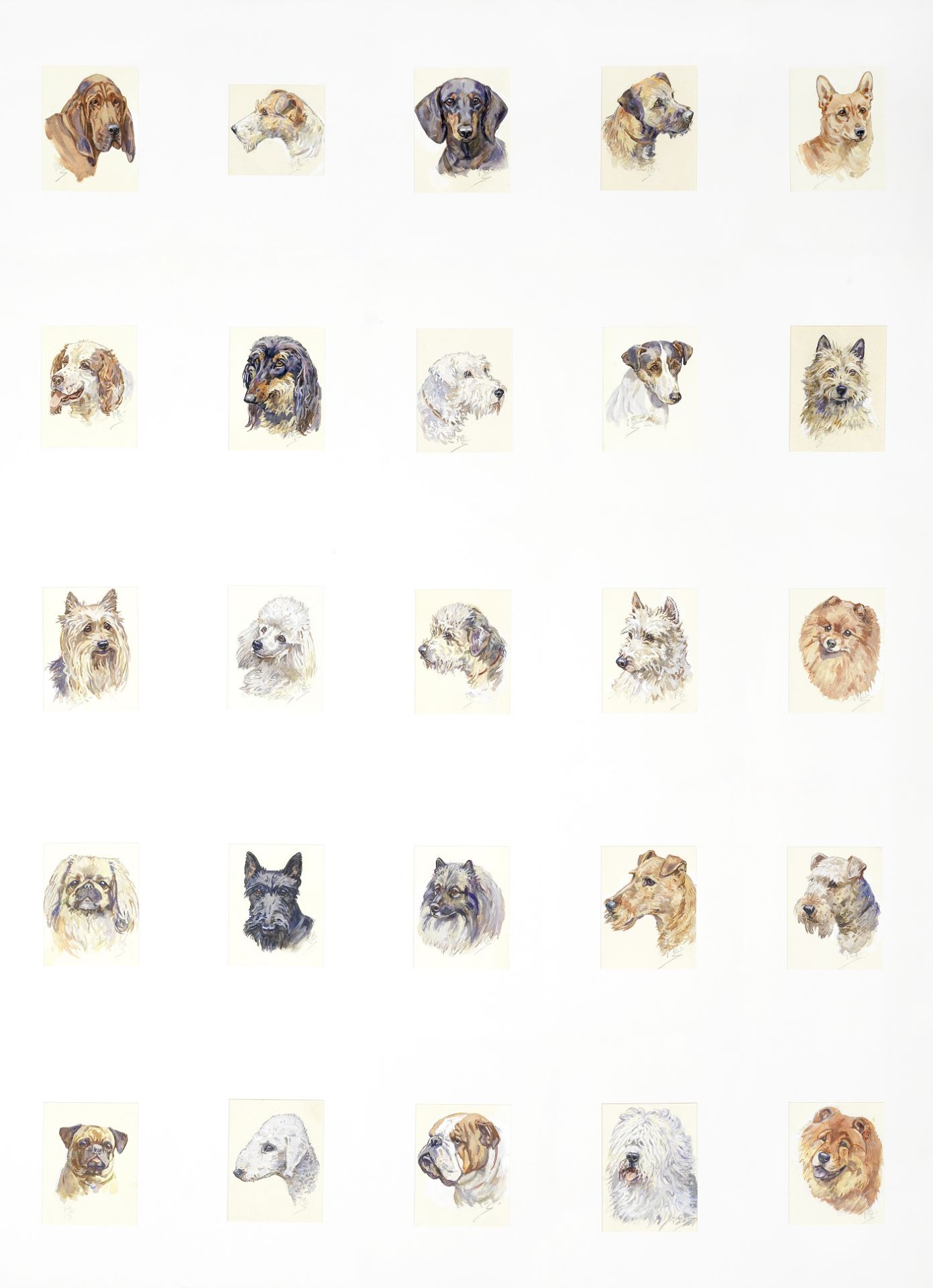 Peter Biegel (British, 1913-1987) A collection of dog studies (25) all mounted but unframed