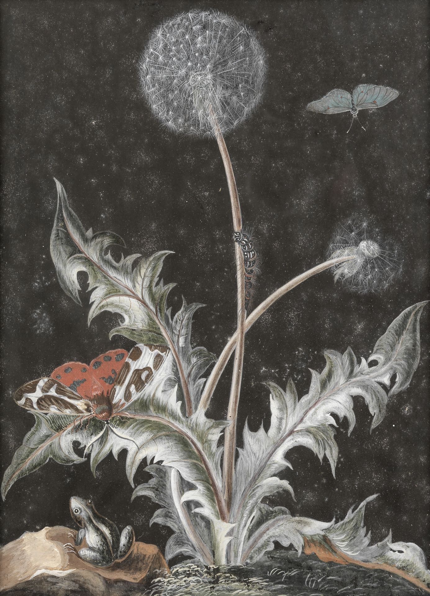 A Member of the Dietzsch Family (active Germany, 18th Century) A dandelion clock with moths, a ca...