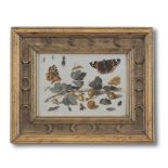 Manner of Jan van Kessel the Elder, 18th Century Butterflies, insects and gooseberries