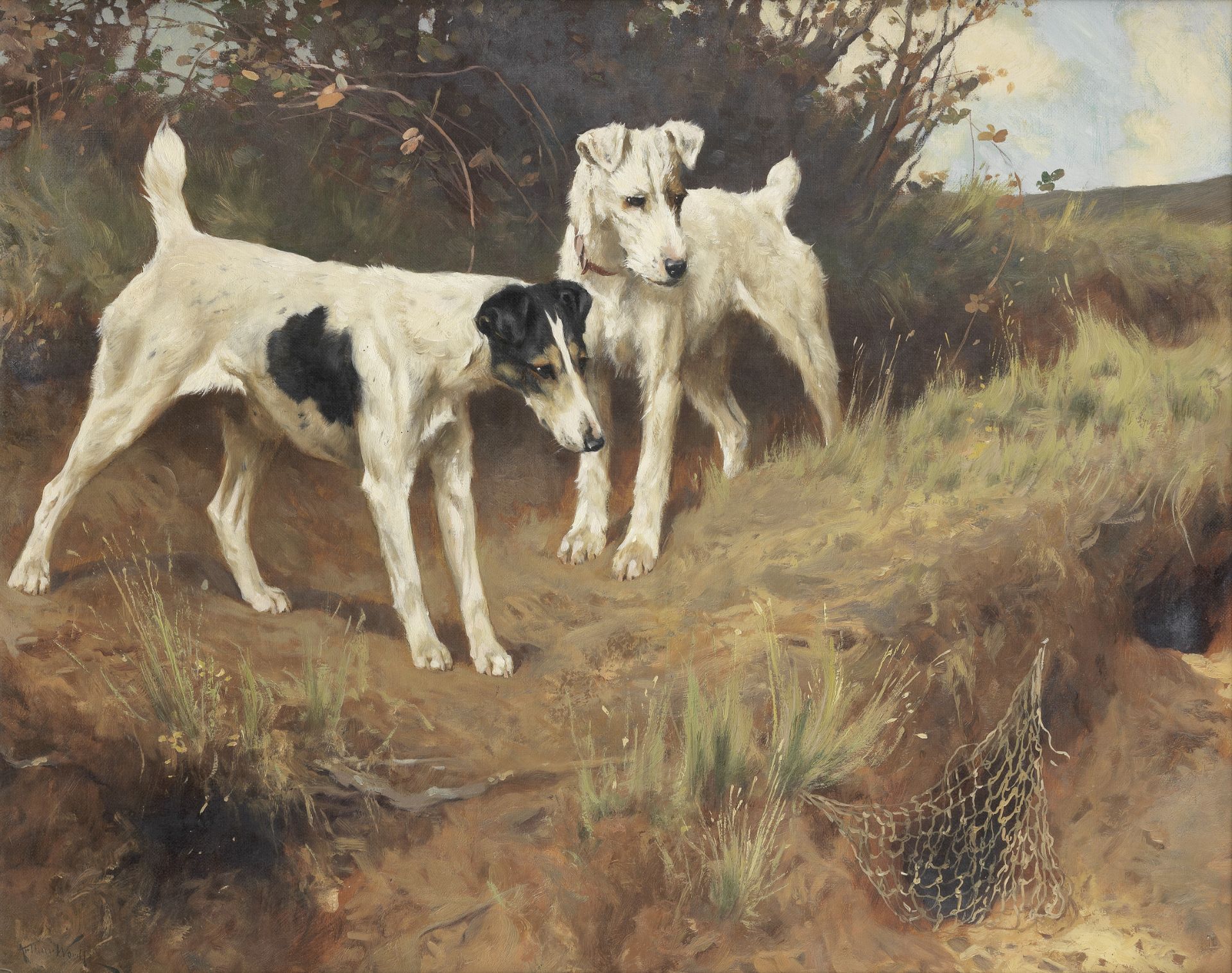 Arthur Wardle, RI (British, 1864-1949) Terriers