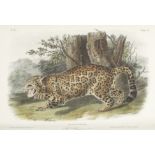 AUDUBON (JOHN JAMES) AND JOHN BACHMAN The Quadrupeds of North America, 3 vol., FIRST OCTAVO EDITI...