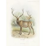 LYDEKKER (RICHARD) The Deer of All Lands. A History of the Family Cervidae Living and Extinct, NU...