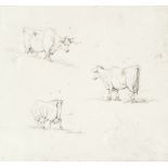 George Chinnery RHA (Tipperary 1774-1852 Macau) A study of cows