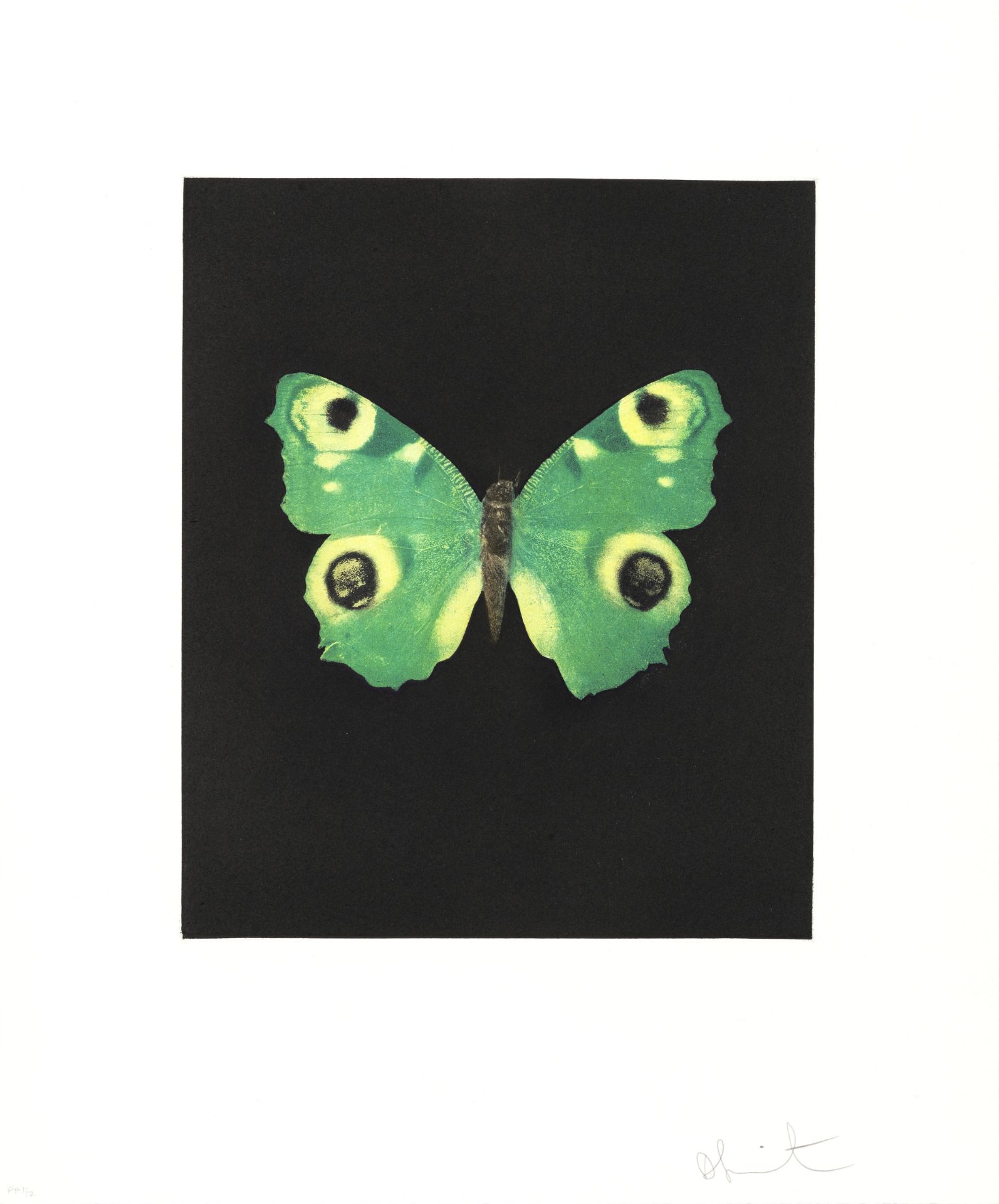 Damien Hirst (British, born 1965) Fate, from 'Butterfly Etchings' Etching and aquatint printed in...