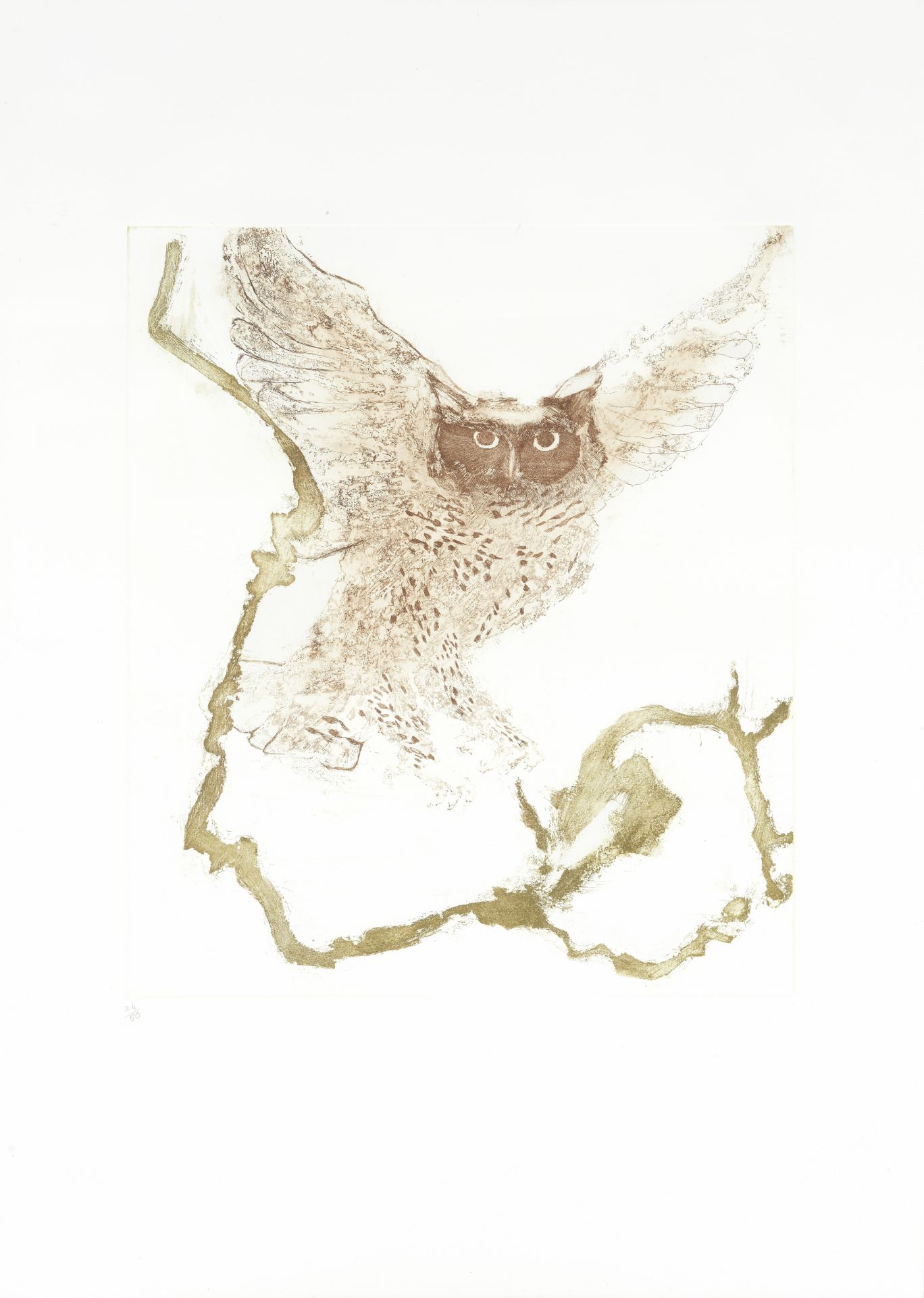 Dame Elisabeth Frink R.A. (British, 1930-1993) Long-Eared Owl, from 'Birds of Prey' Etching and a...