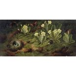 English School, 19th Century Primroses, a bird's nest and butterflies on a forest floor