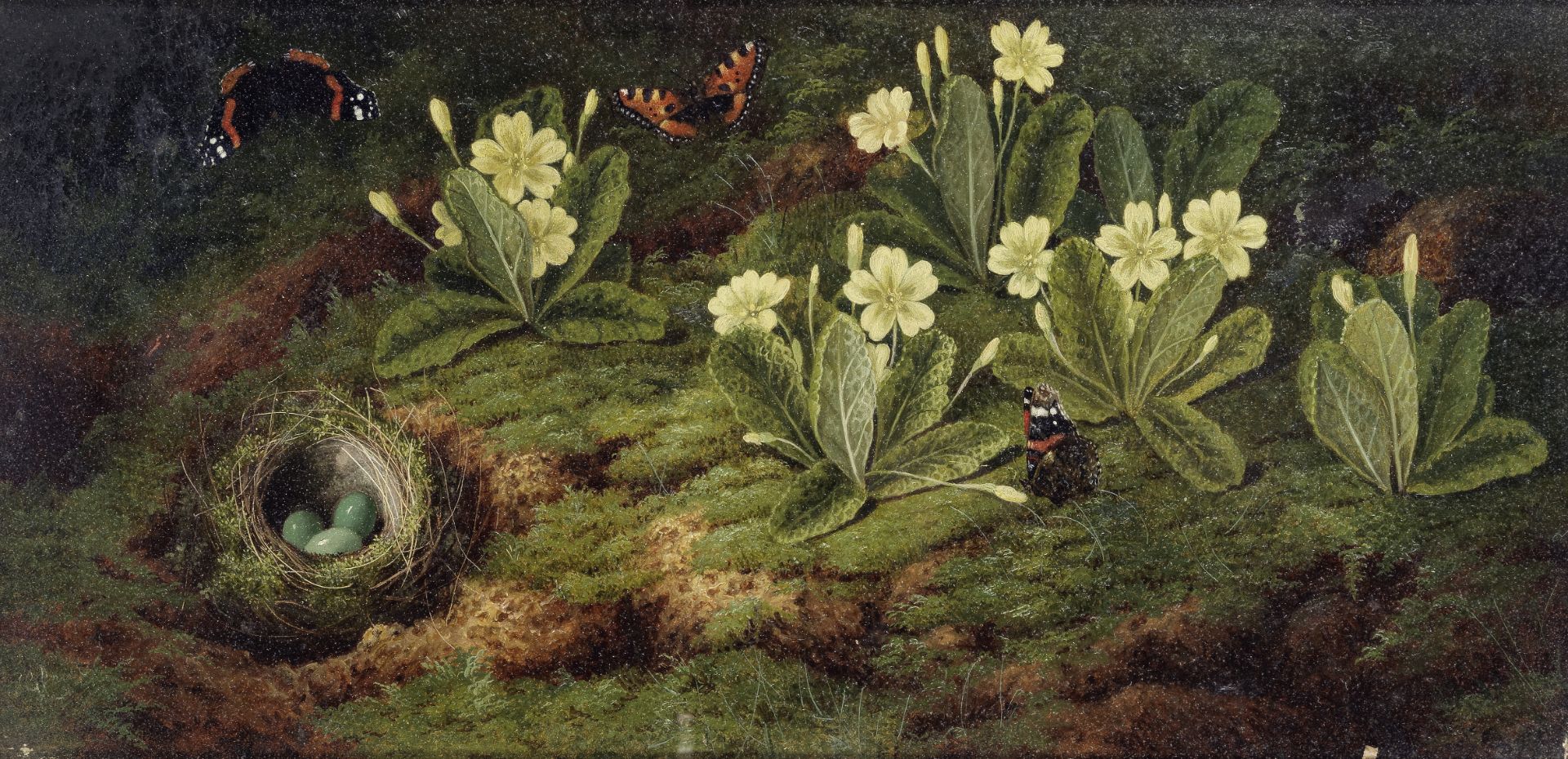 English School, 19th Century Primroses, a bird's nest and butterflies on a forest floor