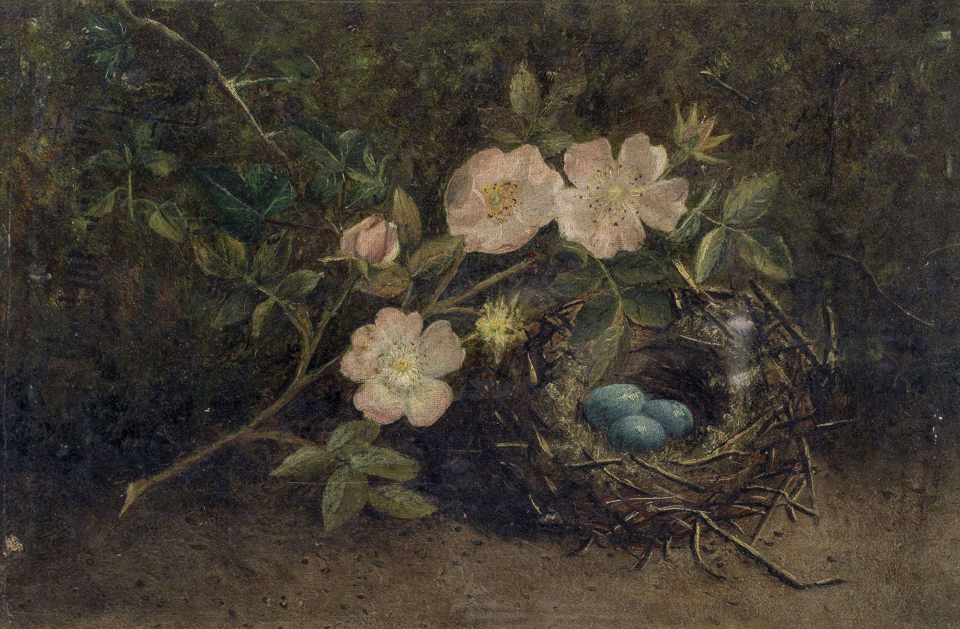 English School (19th Century) Still life of dog roses and a bird's nest