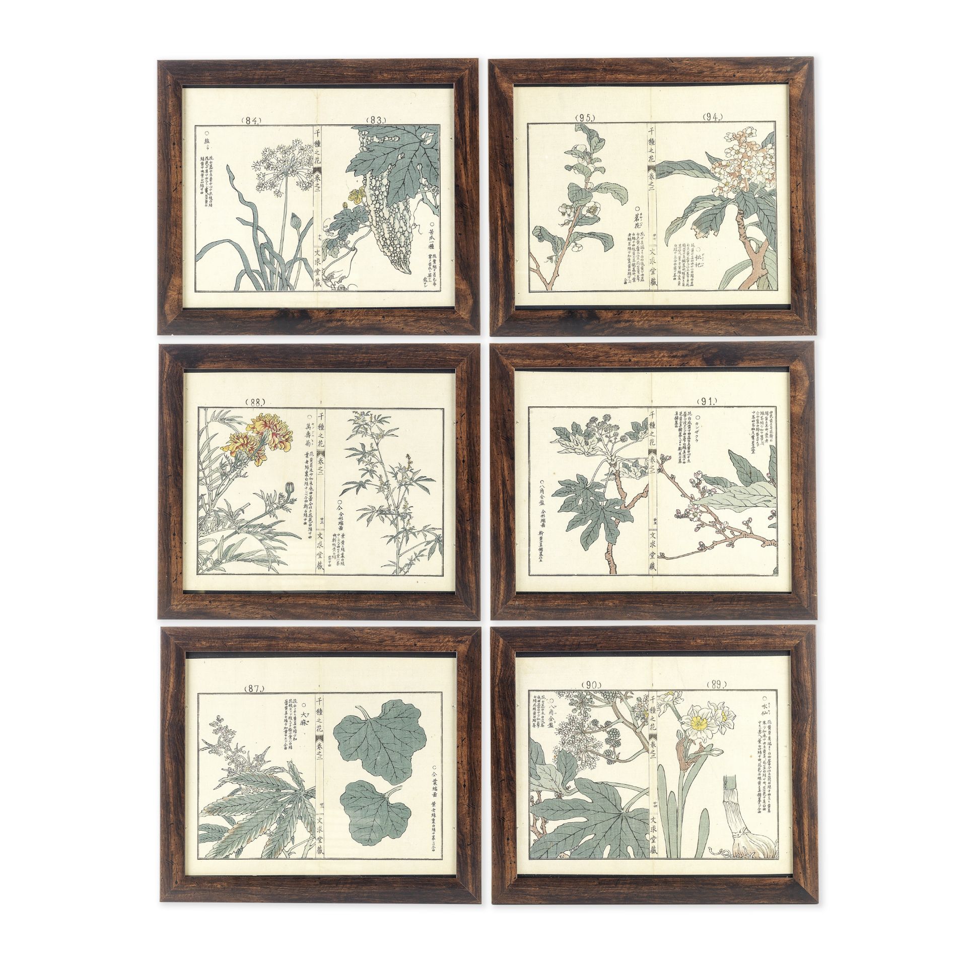 A set of twelve late 19th century Japanese coloured prints of flower specimens mounted within la...