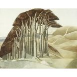 Paul Nash (British, 1889-1946) Wood on the Downs Offset lithograph printed in colours, on wove, p...