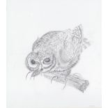 Elizabeth MacDonald-Buchanan (British, 1939-2020) Long-eared owl; Owl capturing a beetle; Two fie...