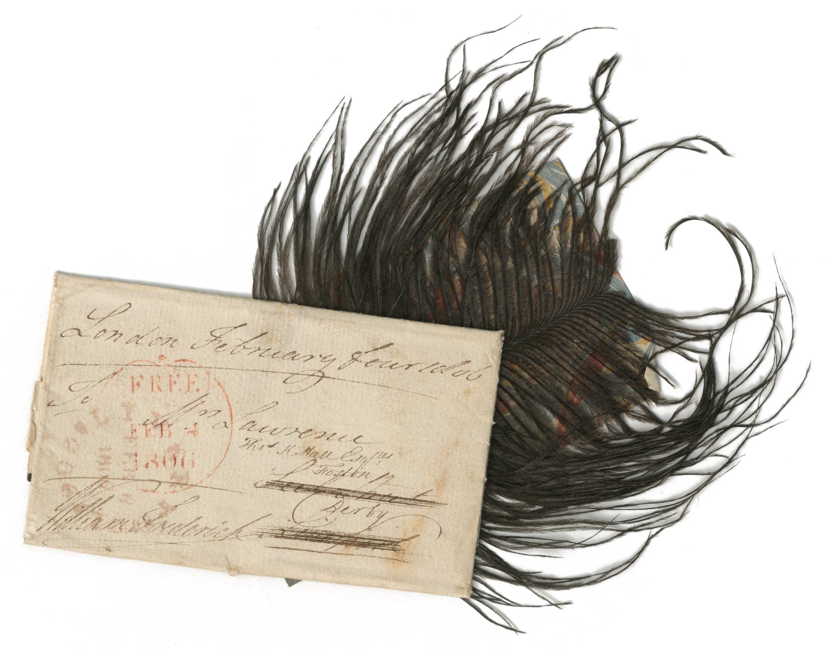 NELSON'S FUNERAL A black ostrich feather pinned to a piece of marbled card, captioned in ink on t...