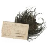 NELSON'S FUNERAL A black ostrich feather pinned to a piece of marbled card, captioned in ink on t...