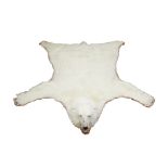 A polar bear skin rug