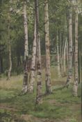 Ilya Semenovich Ostroukhov (Russian, 1858-1929) Sketch for the painting 'Silver birches'