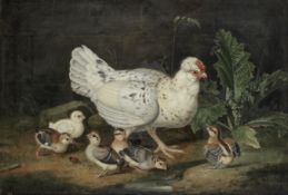 Jacob Samuel Beck (Erfurt 1715-1778) A hen and her chicks in a landscape; and Ornamental pigeons ...