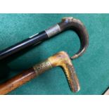 Two antique walking sticks. One designed with a antlr handle, plated collar and malaca shaft. The