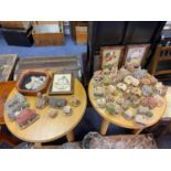 A Collection of Lilliput lane houses/ cottages and framed plaques etc