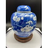 A C1900 Chinese Kangxi Nian Zhi marked cherry blossom blue and white preserve pot. Comes with a