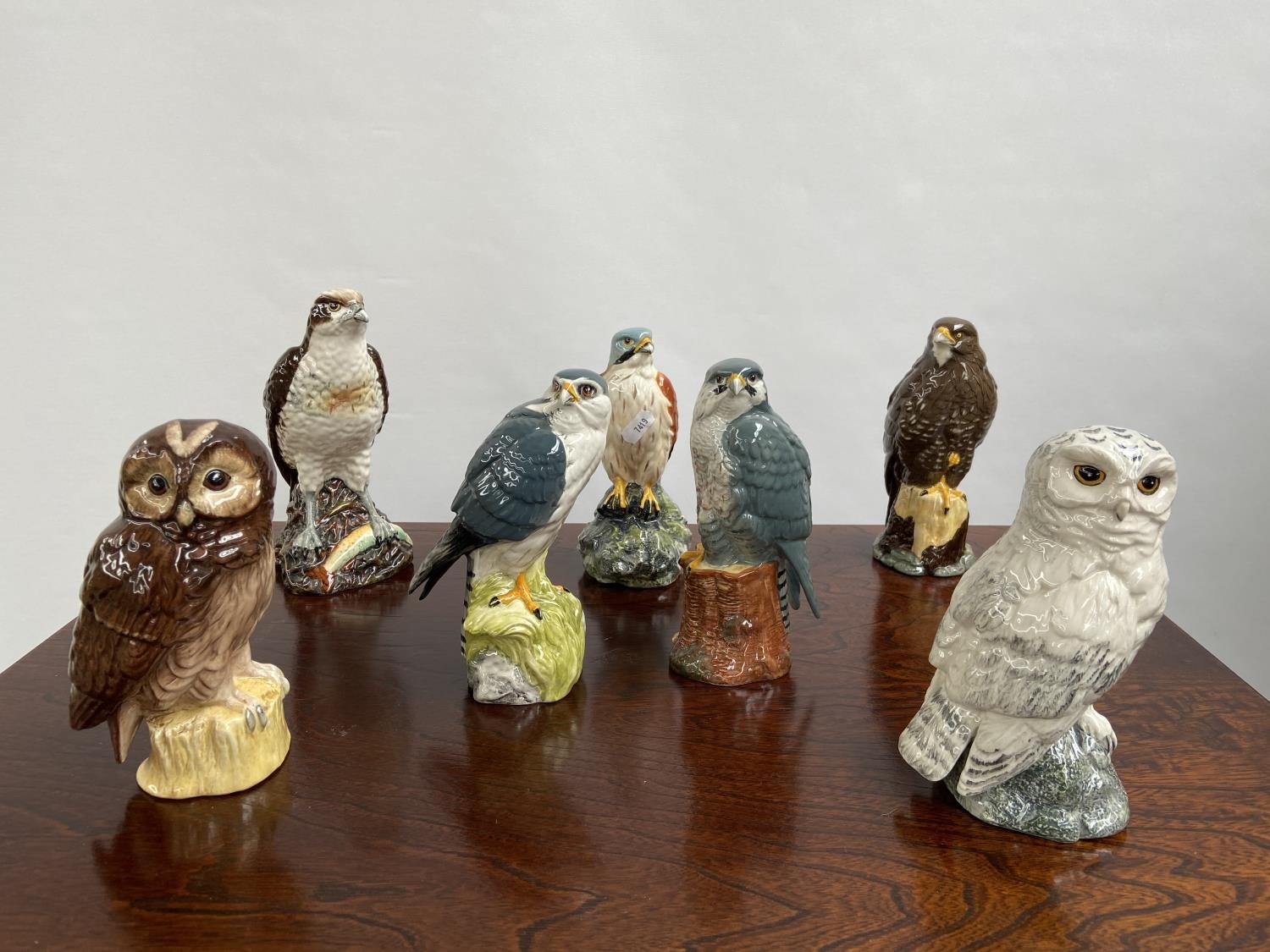 A Collection of 7 Royal Doulton bird figurines to include Osprey, Hawk & Tawny owl etc