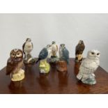 A Collection of 7 Royal Doulton bird figurines to include Osprey, Hawk & Tawny owl etc