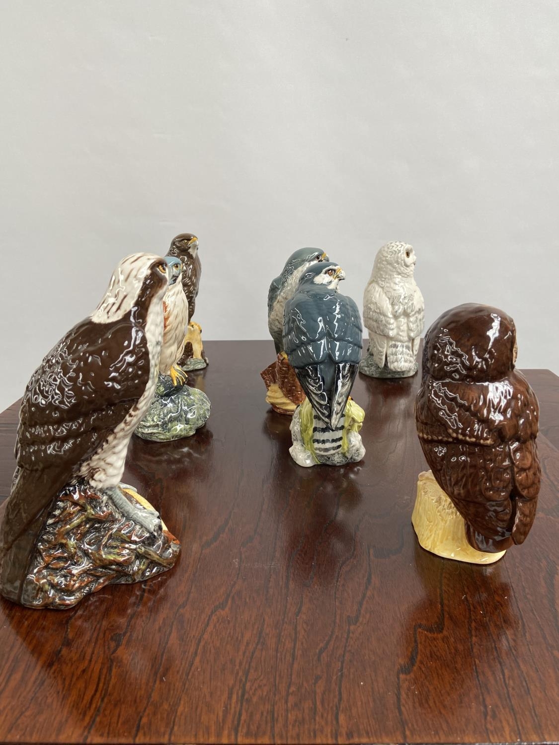A Collection of 7 Royal Doulton bird figurines to include Osprey, Hawk & Tawny owl etc - Image 4 of 7