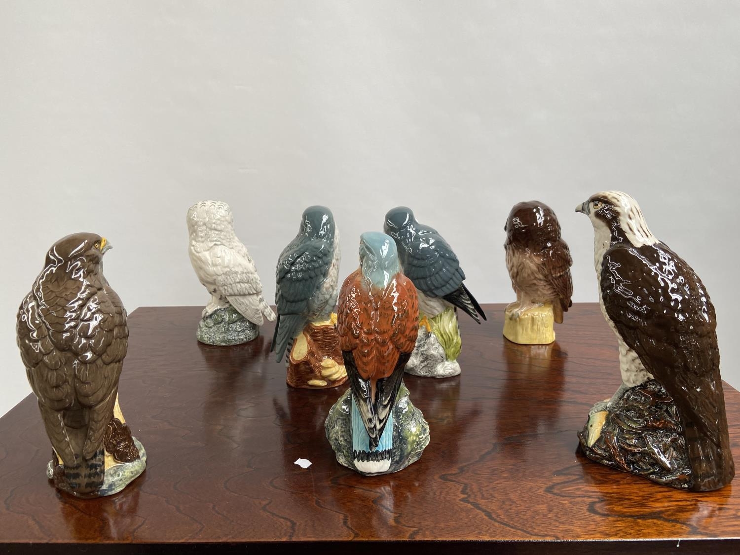 A Collection of 7 Royal Doulton bird figurines to include Osprey, Hawk & Tawny owl etc - Image 5 of 7