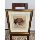 An early 20th century watercolour, depicting a St Bernard puppy, signed F.H [height, 44cm, width,