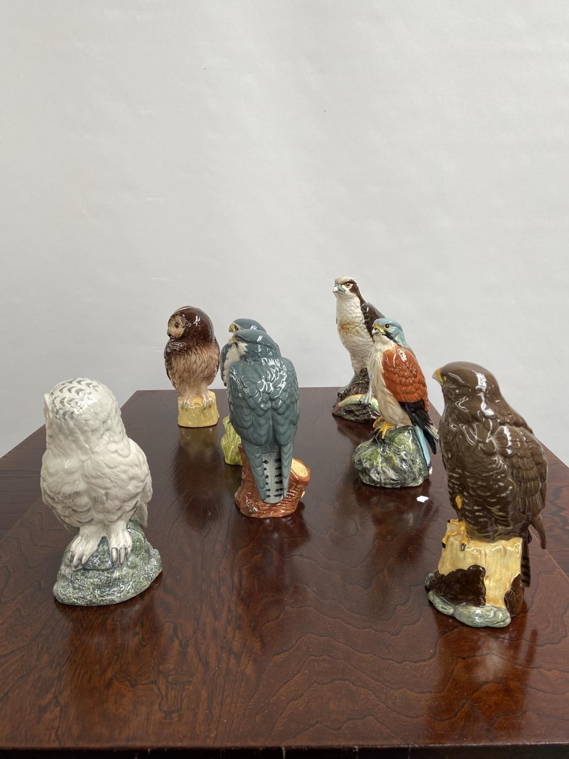 A Collection of 7 Royal Doulton bird figurines to include Osprey, Hawk & Tawny owl etc - Image 6 of 7