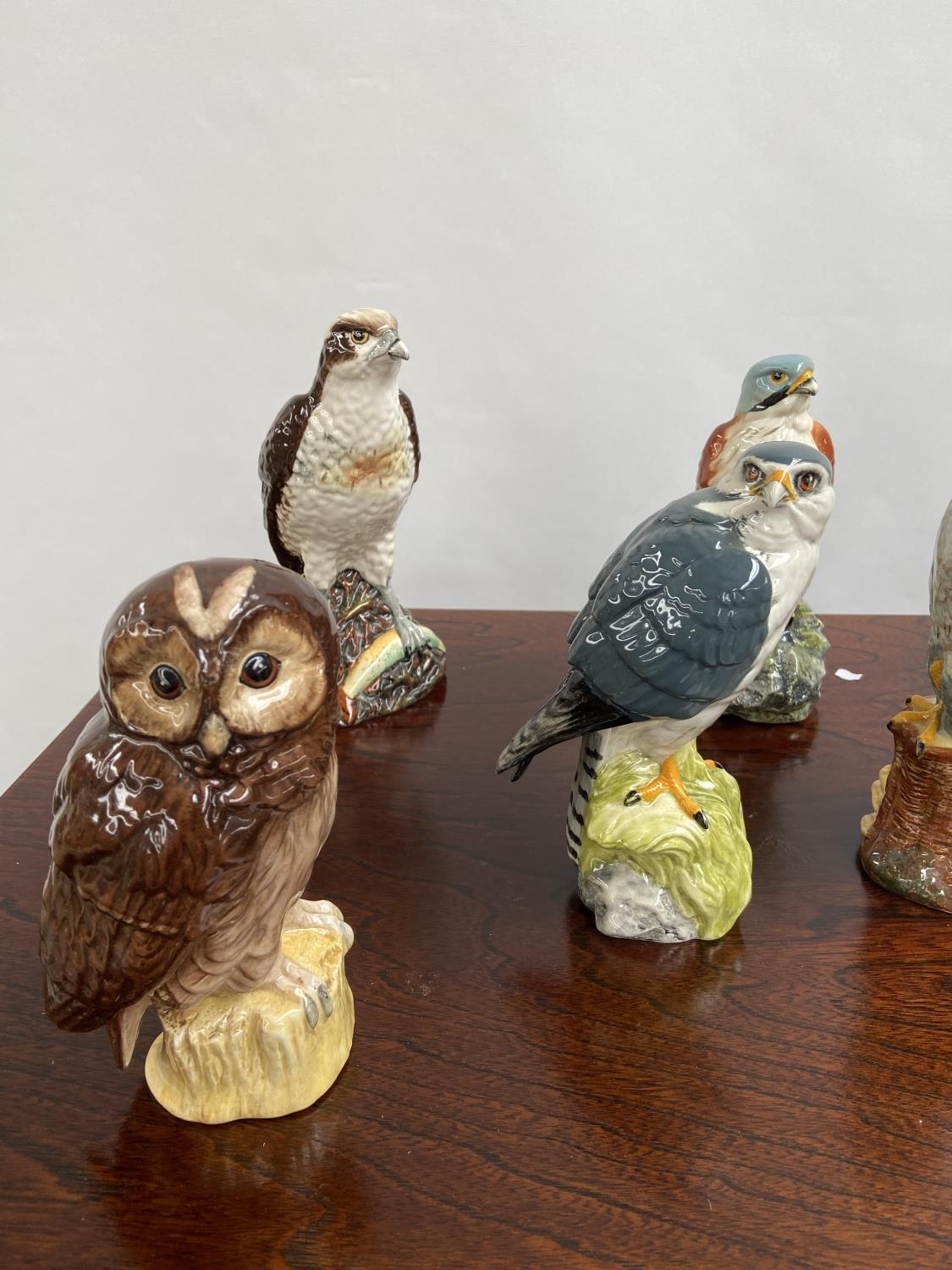 A Collection of 7 Royal Doulton bird figurines to include Osprey, Hawk & Tawny owl etc - Image 2 of 7