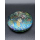 A Glasform John Ditchfield glass paperweight, in the form of a lily pad with silver frog, 13cm