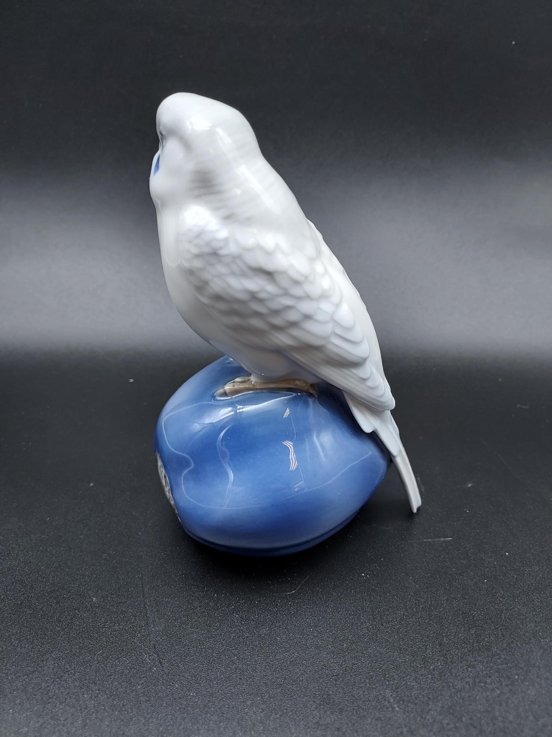 A Royal Copenhagen figurine Budgie sat on a piece of fruit. [14cm in height] - Image 3 of 4