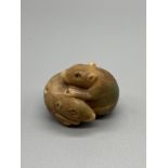 A Japanese hand carved tagua nut netsuke figure of two mice huddled together. Signed.