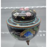 A 19th century Chinese Cloisonné lidded preserve pot with lid. [6.5cm in height]