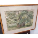 John Kingsley Cook Original watercolour titled 'Ancient Oak in Hatfield Park' Shown in the Open