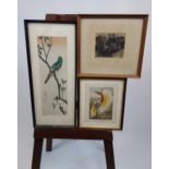 A Japanese block print depicting a perched bird, Antique coloured print of a bird and original art