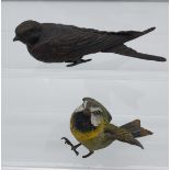 Two Antique cold painted bronze bird sculptures. One missing foot. [14cm in length]