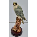 Sherratt & Simpson Large porcelain model of a kestrel sat on a glove. No.76. [37cm in height]