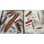 A Collection of various fruit and pen knives etc