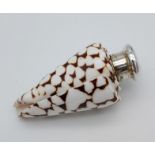 A London silver and shell encased scent bottle by Samuel Mordant. [6cm in length]