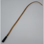 Antique bulls pizzle whip. [70cm in length]