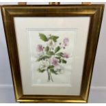 Helen Erskine Watercolour depicting flowers, fitted within a gilt frame.
