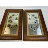 A Pair of Antique bevel edge mirrors. Designed with hand painted foliage and bevelled grape