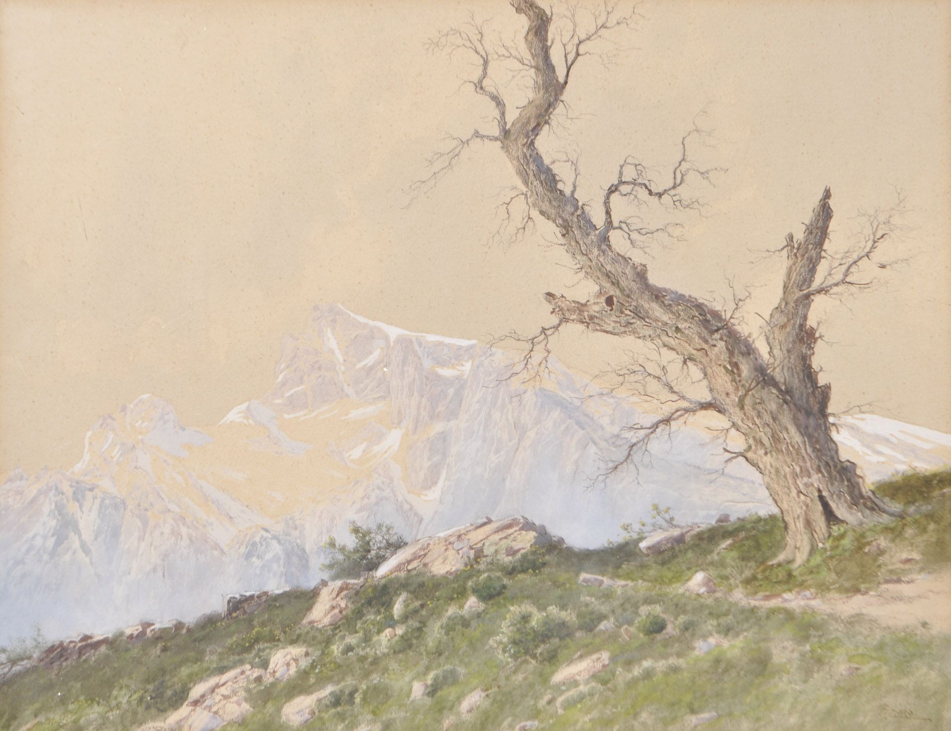 Franz Moro - Einsamer Baum im Gebirge