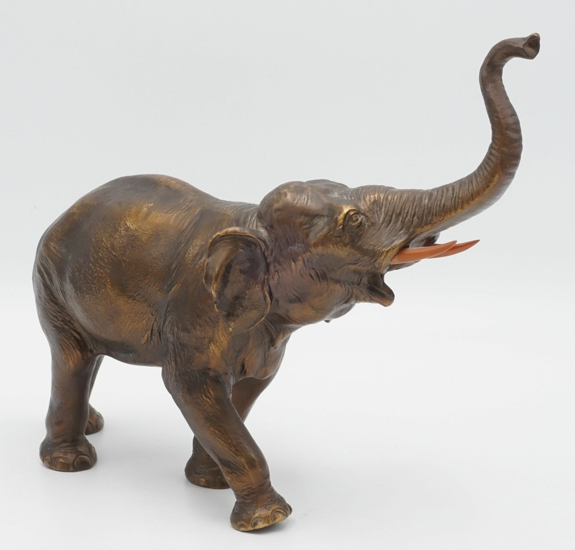 Elefant mit erhobenem Rüssel - Bild 2 aus 3