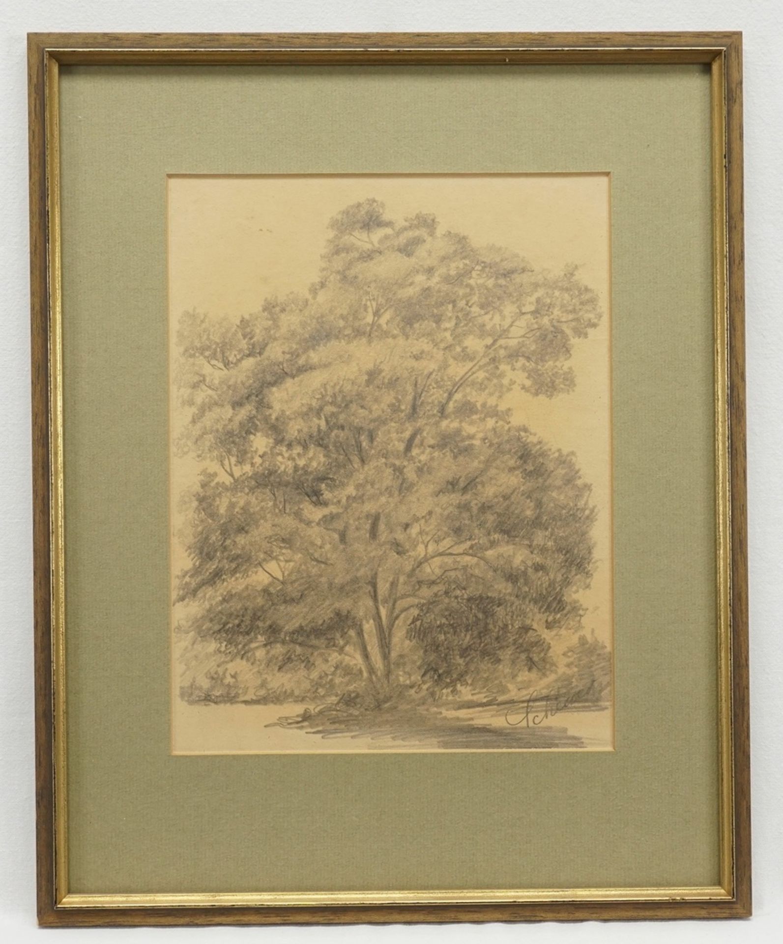 Scheuer (?),  "Stattlicher Baum" - Bild 2 aus 3