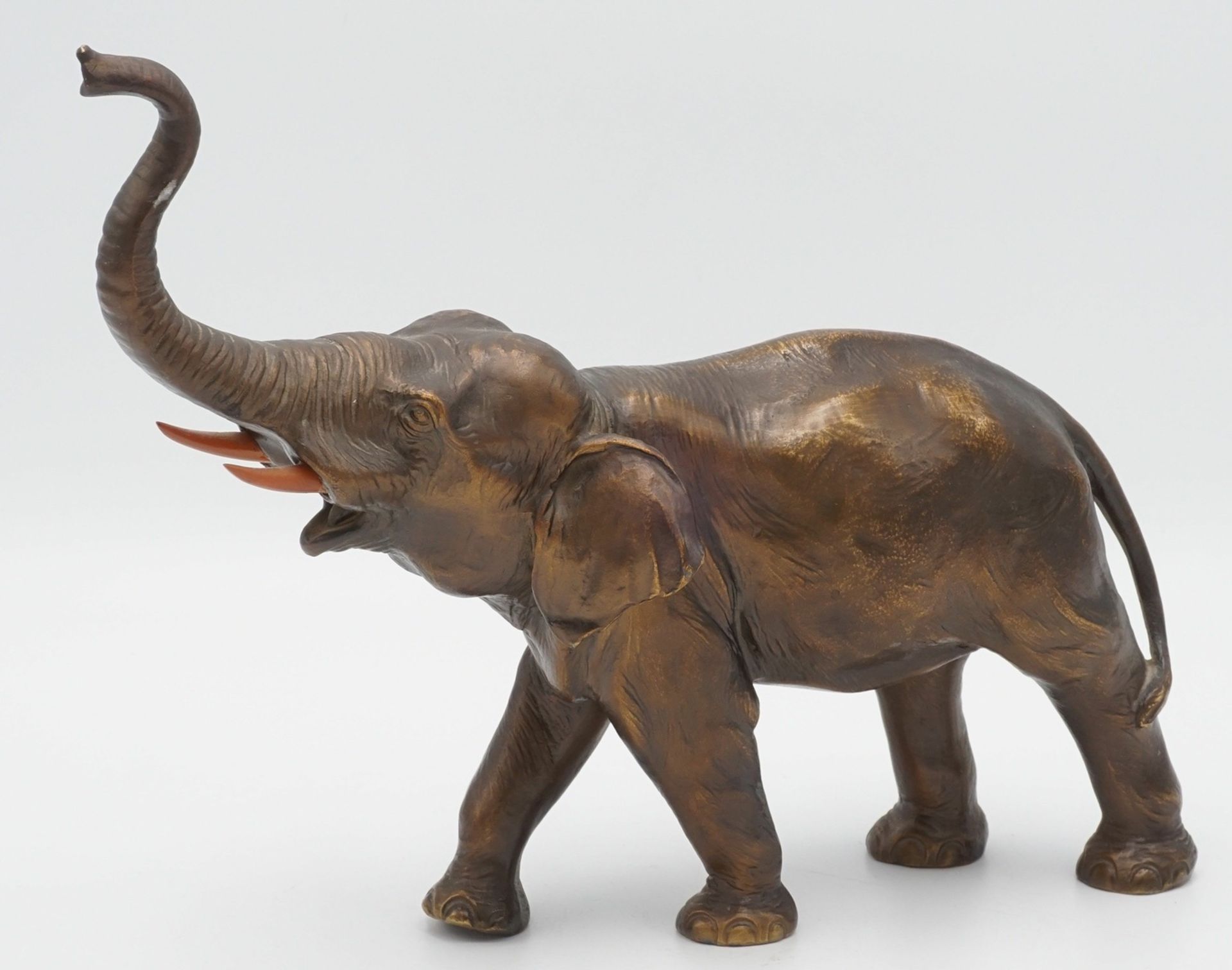 Elefant mit erhobenem Rüssel